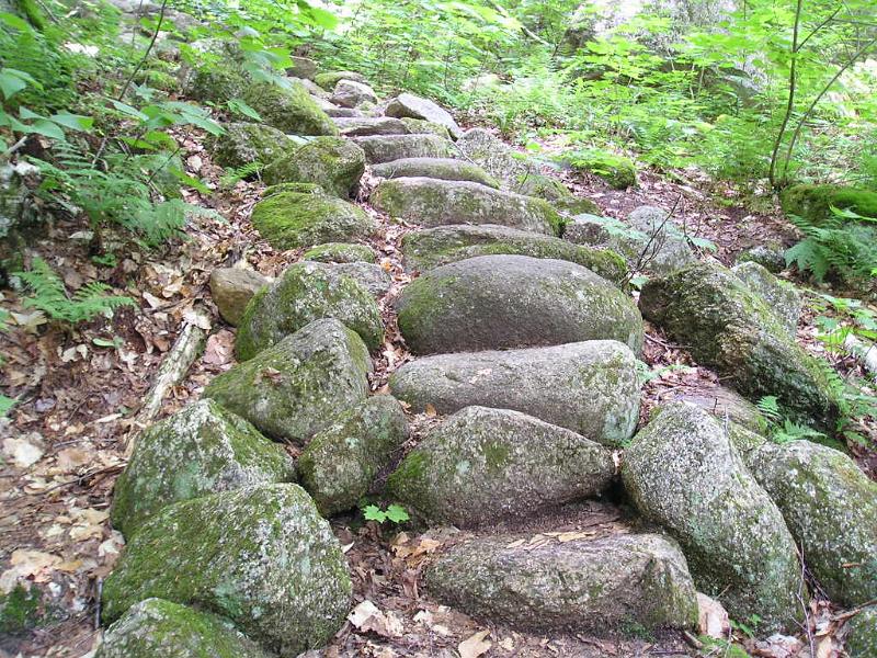 Sugarloaf (7).jpg - This was one of the most well maintained trails we've been on in quite a while.